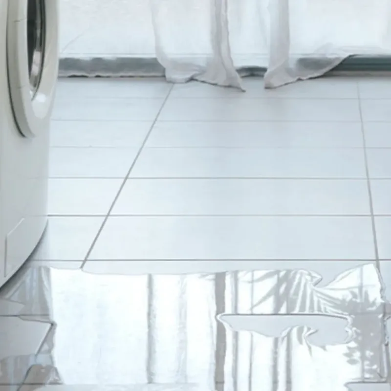 Appliance Leak Cleanup in Portland, TX