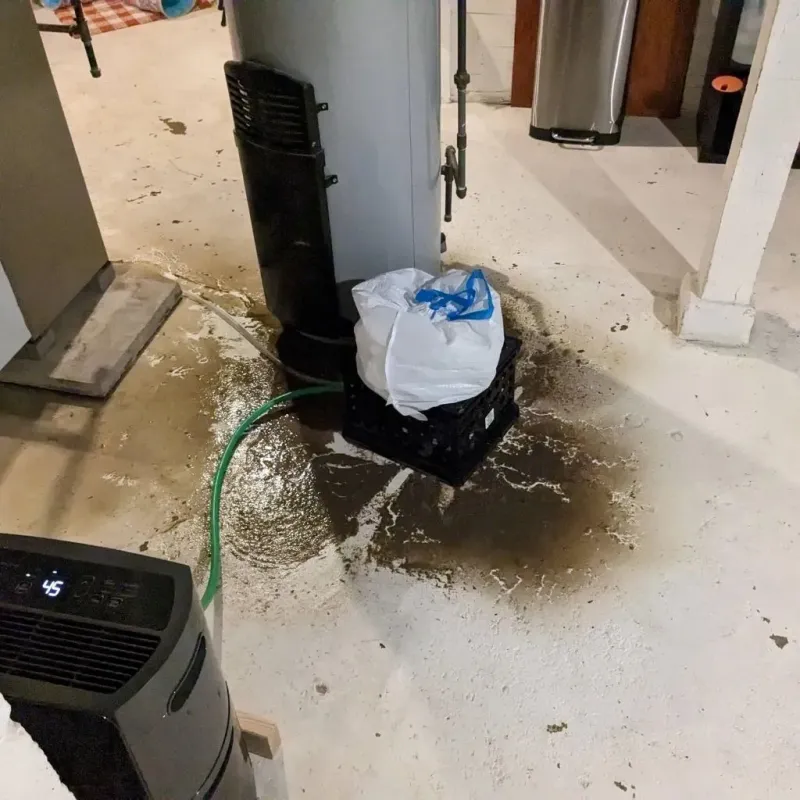 Sewage Backup Cleanup Service in Portland, TX